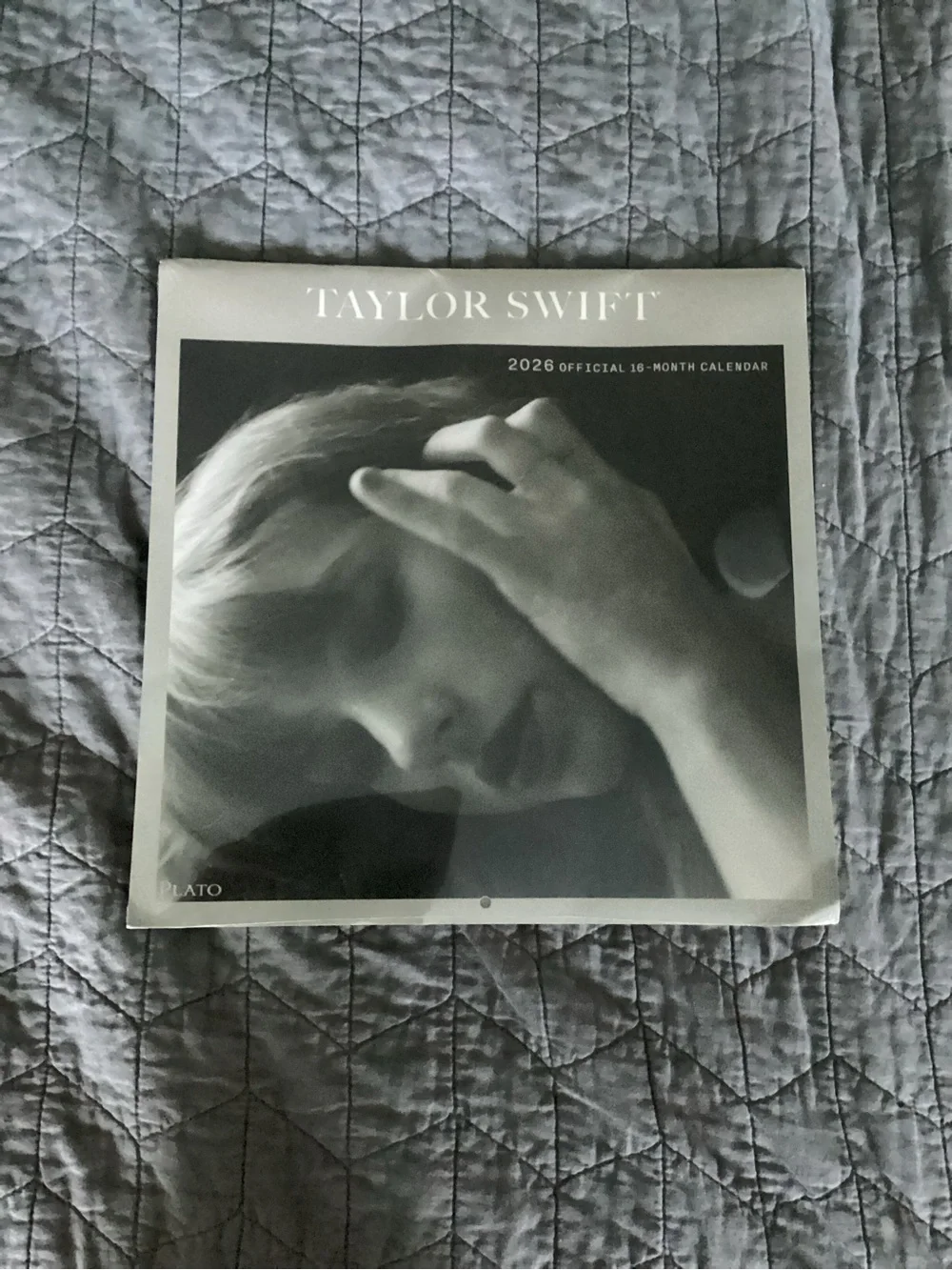 Taylor Swift Gray and Black Photo Grid Wall Calendar